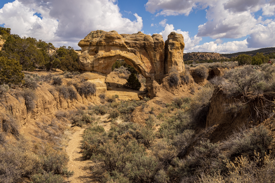 Arch Rock