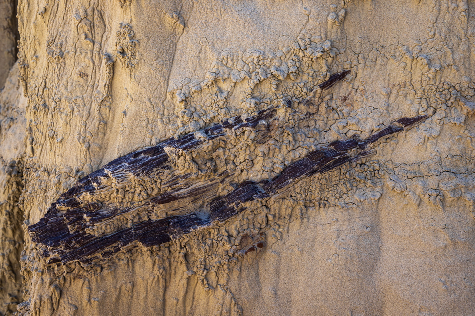 Embedded Wood