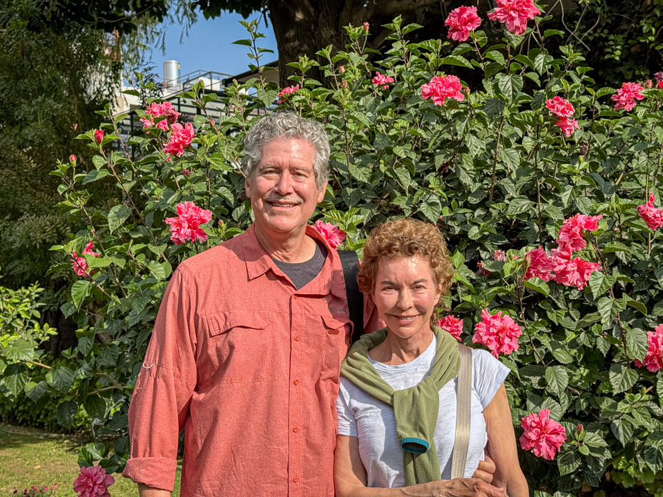 In the Garden