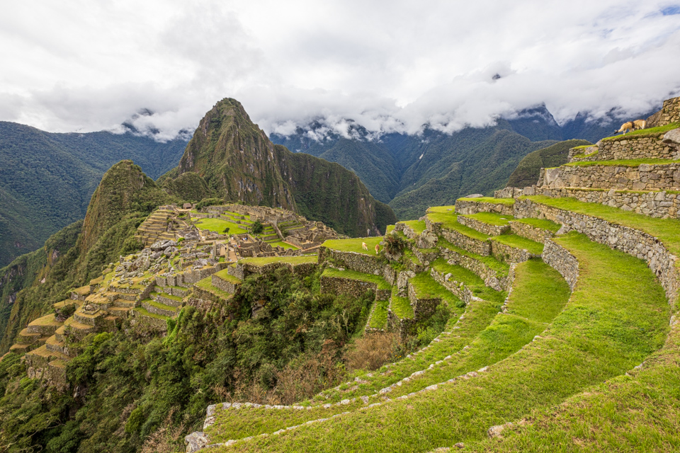Terraces at Machu Picchu