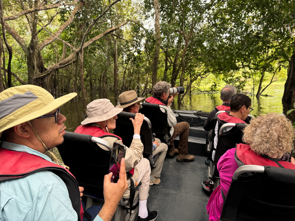 Boat Safari