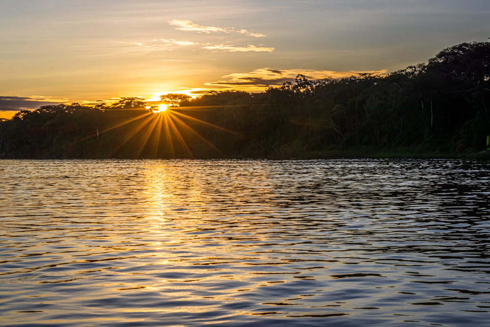 Amazon Sunset