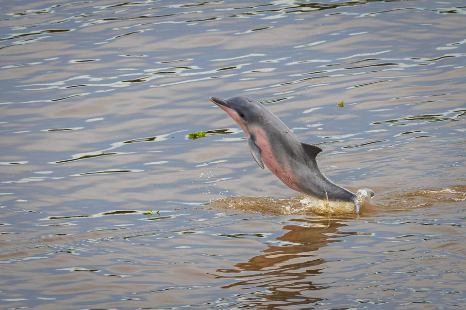Out of the Water