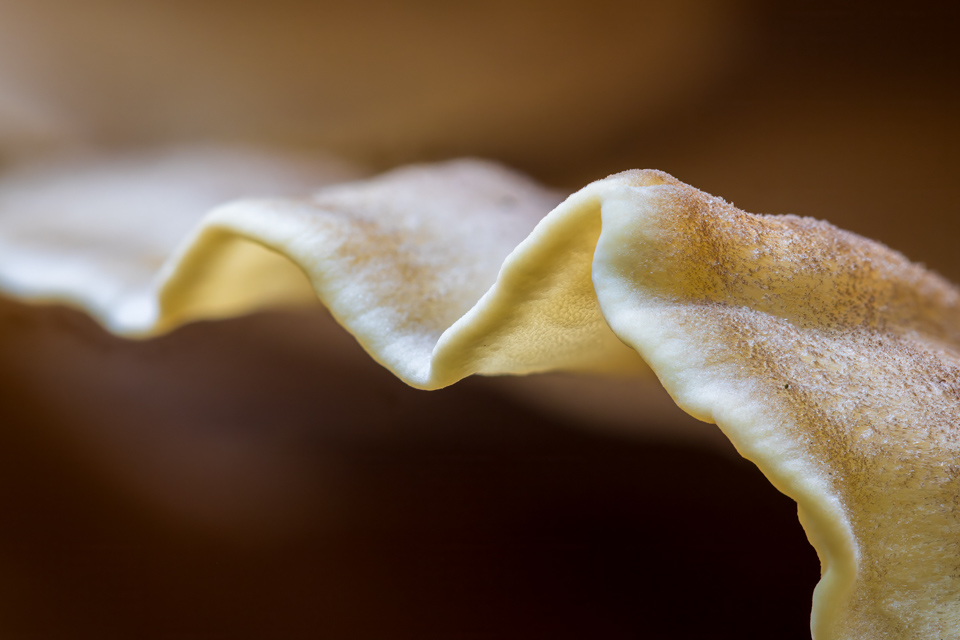 Shroom Edge