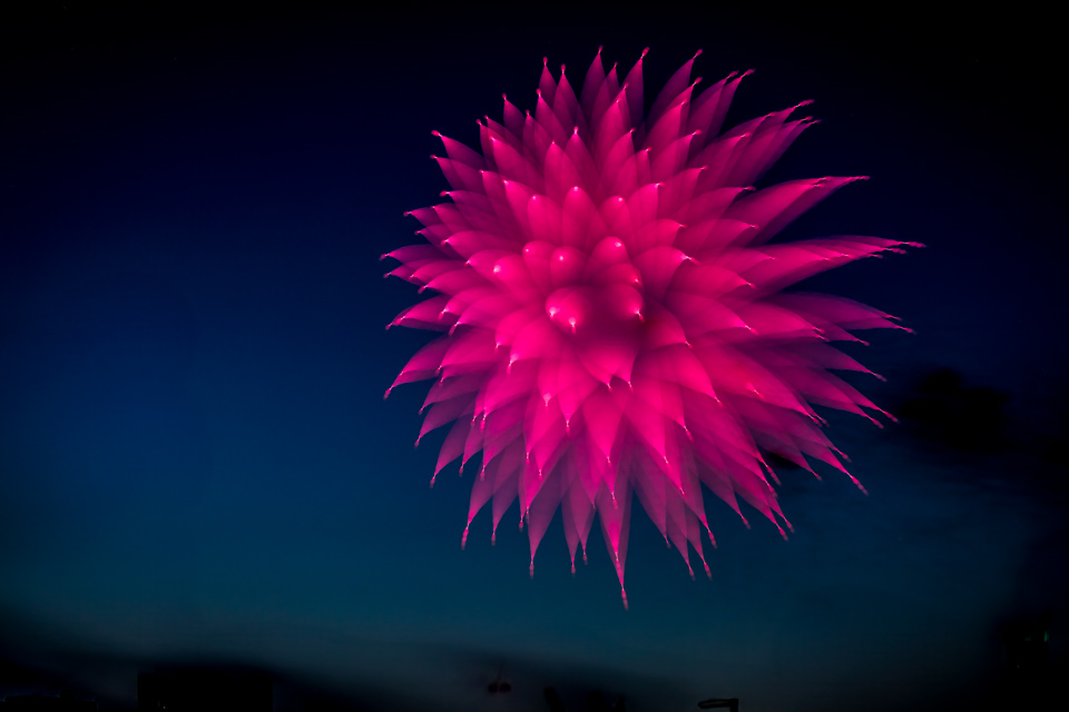 Scarlet Burst