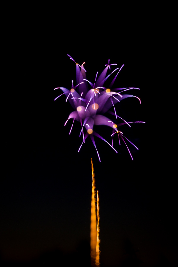 Flower with Stem