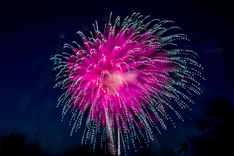 Pink Burst