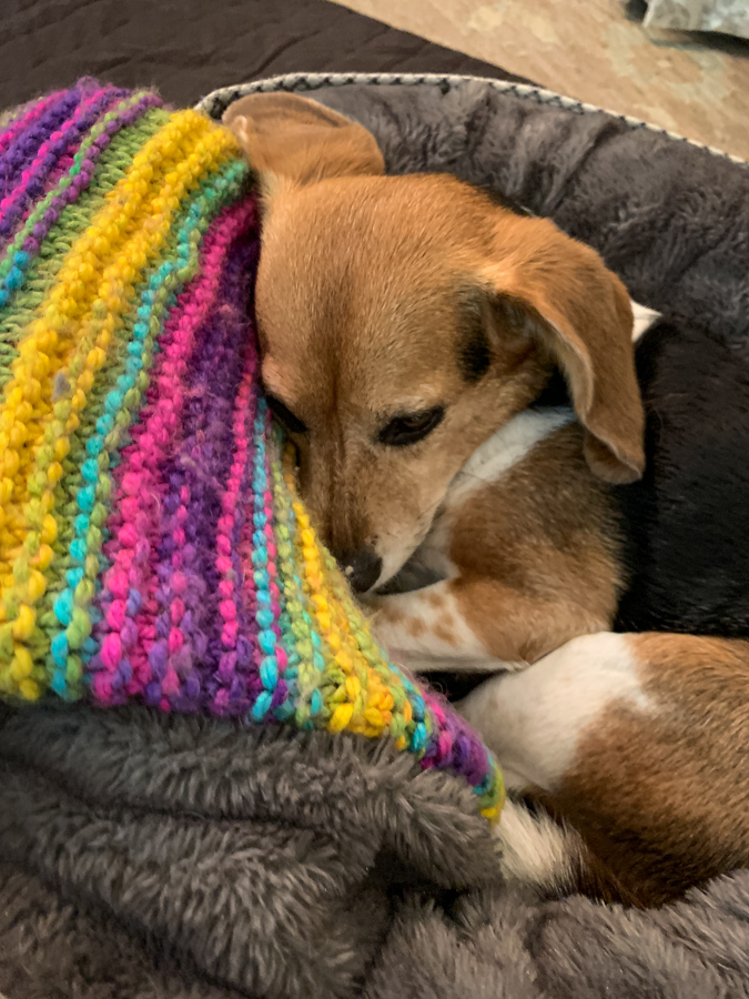 Warm Bed