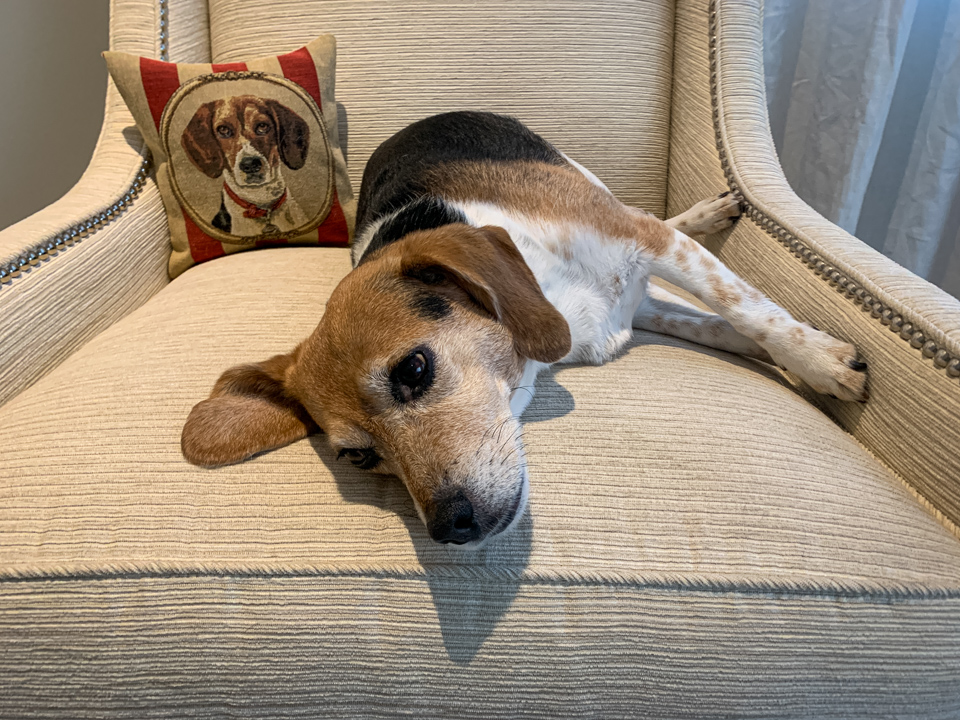 Long Walk = Long Nap