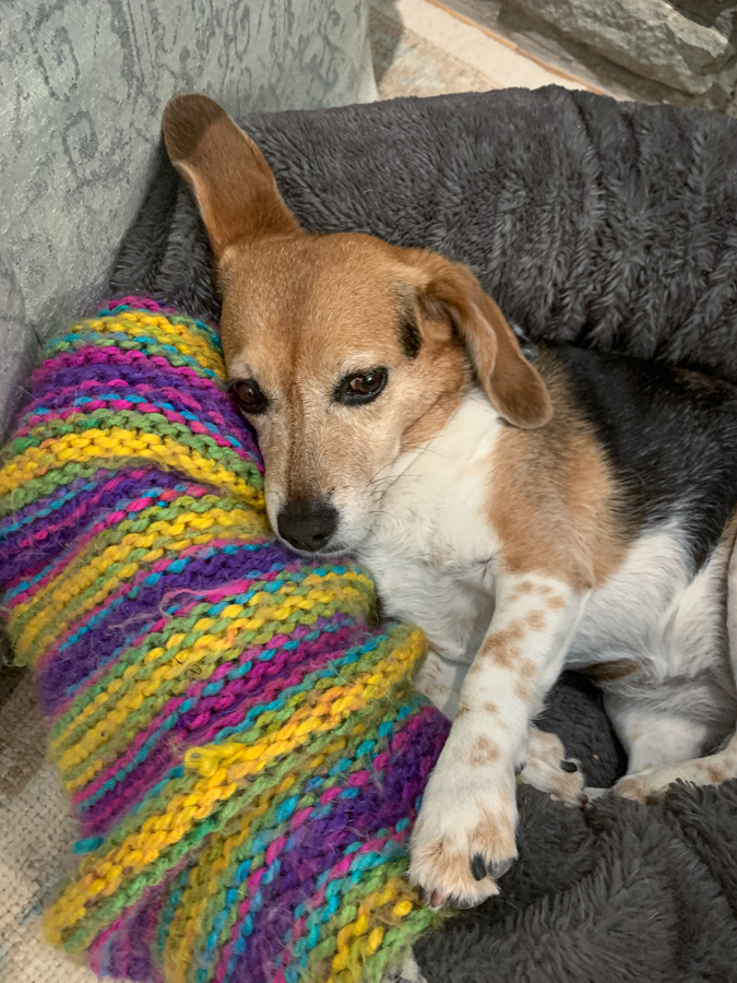 Colorful Nap