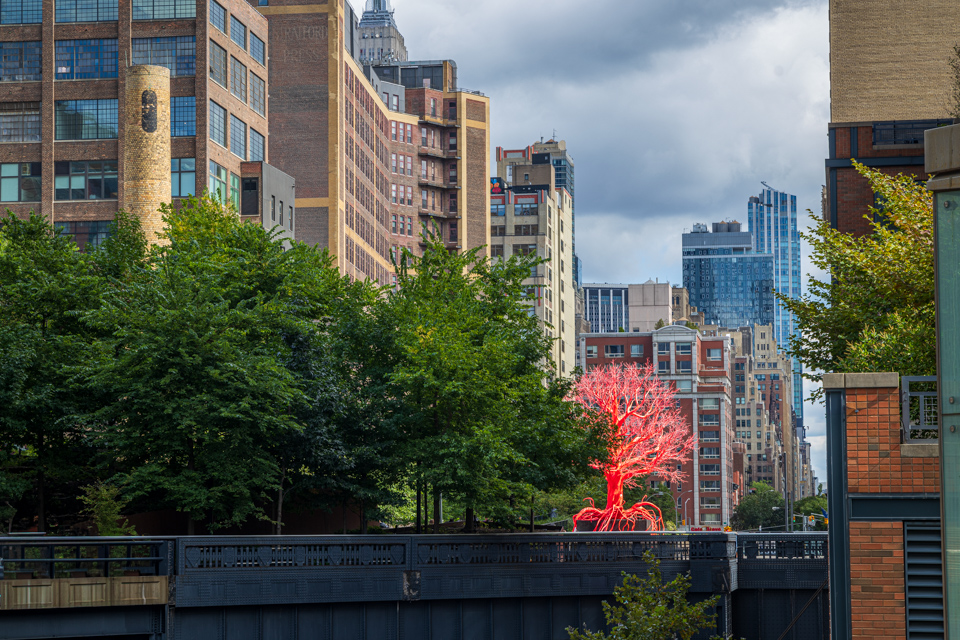 Red Tree