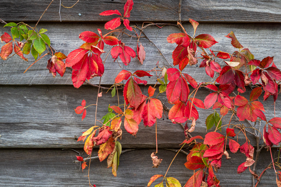 Barn Decoration