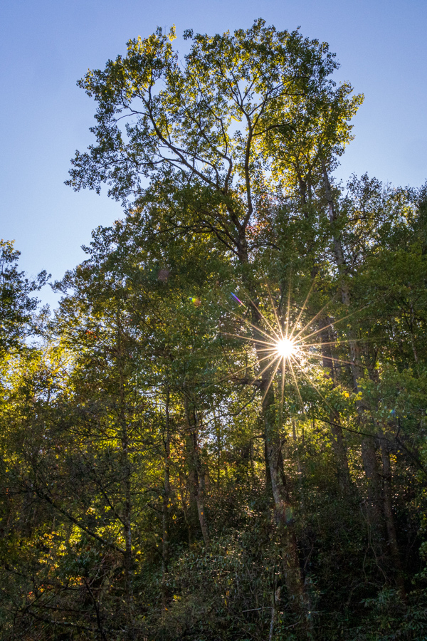 Low Sun
