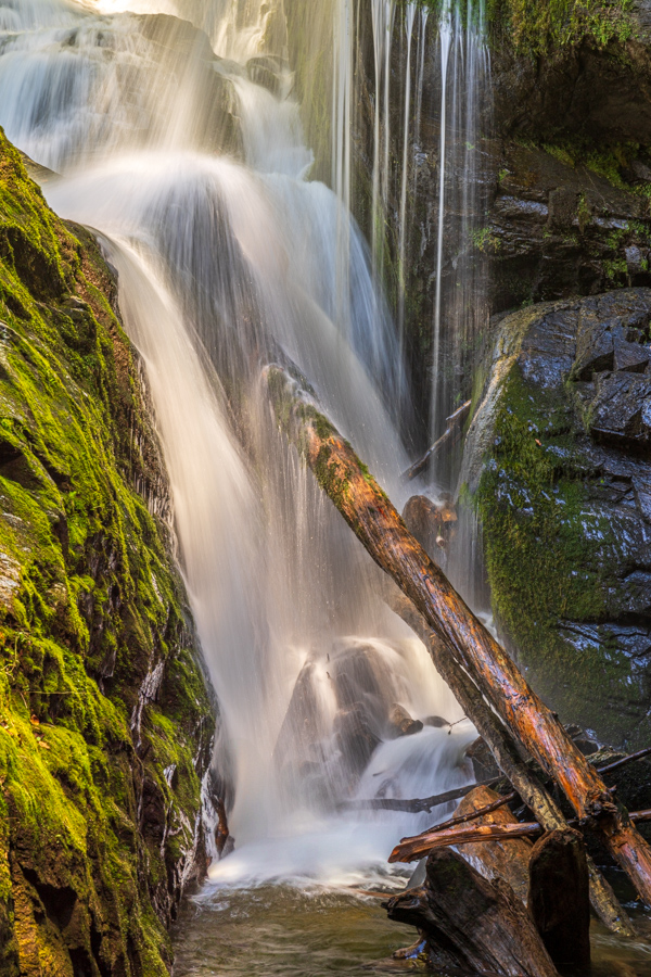 Water Log