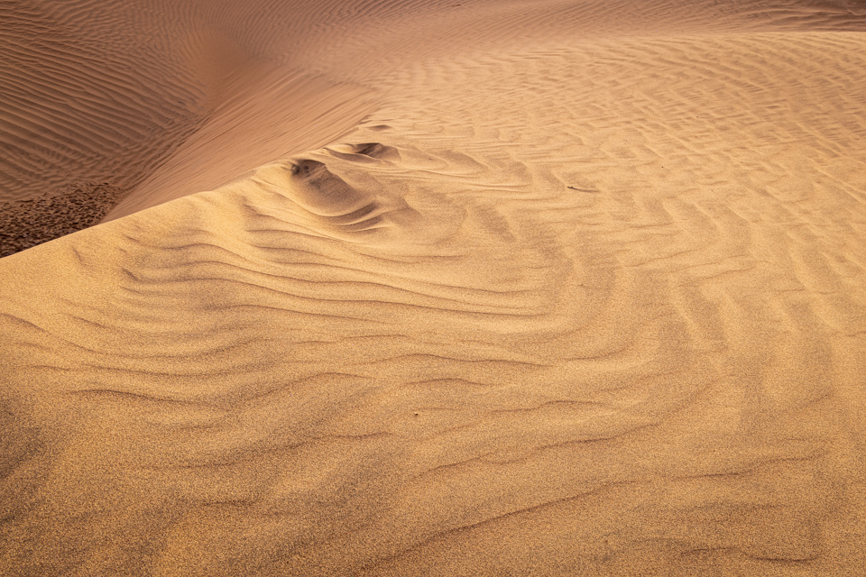 Wind Carving