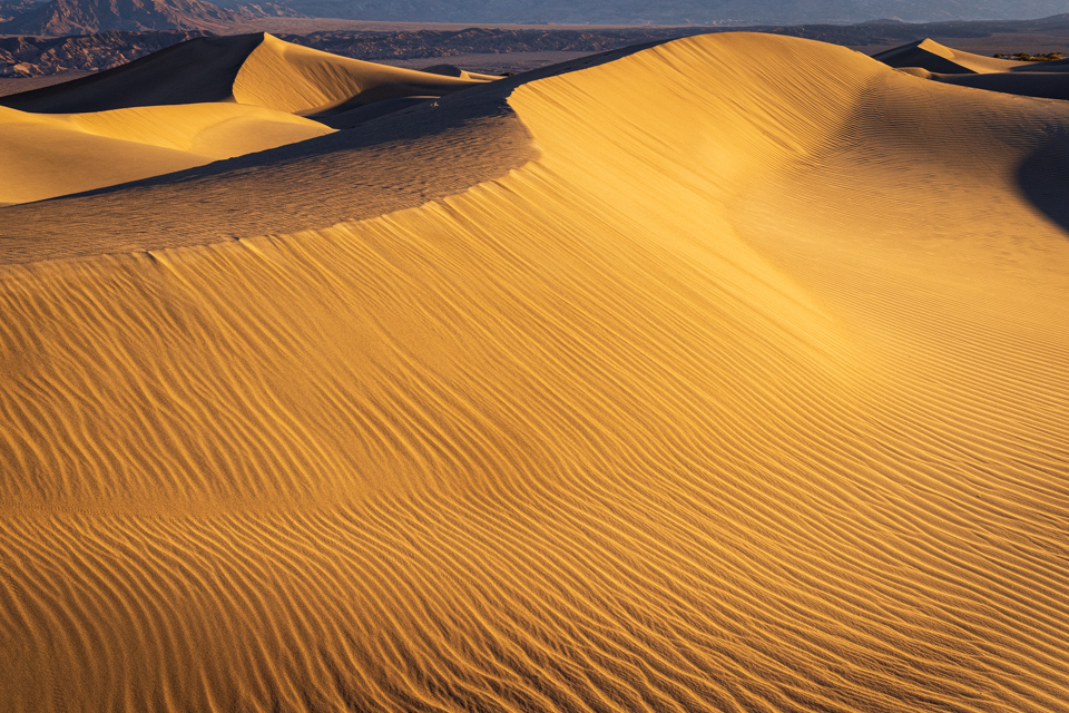 Sand Wave