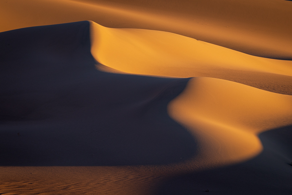 Soft Curves