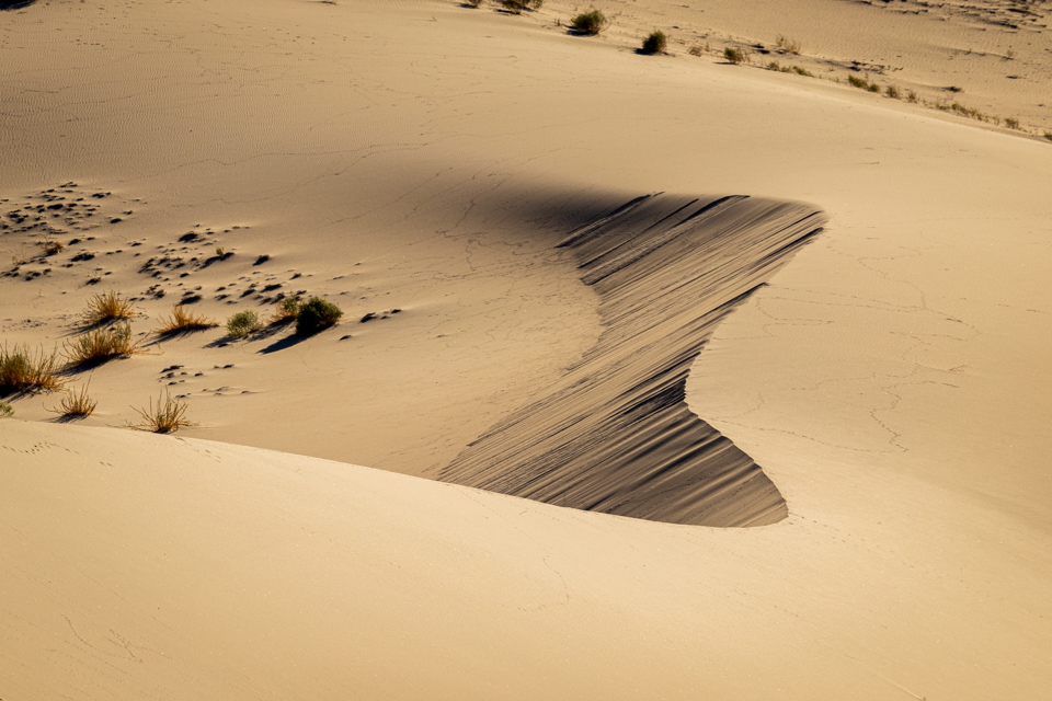 Foothtll Dune