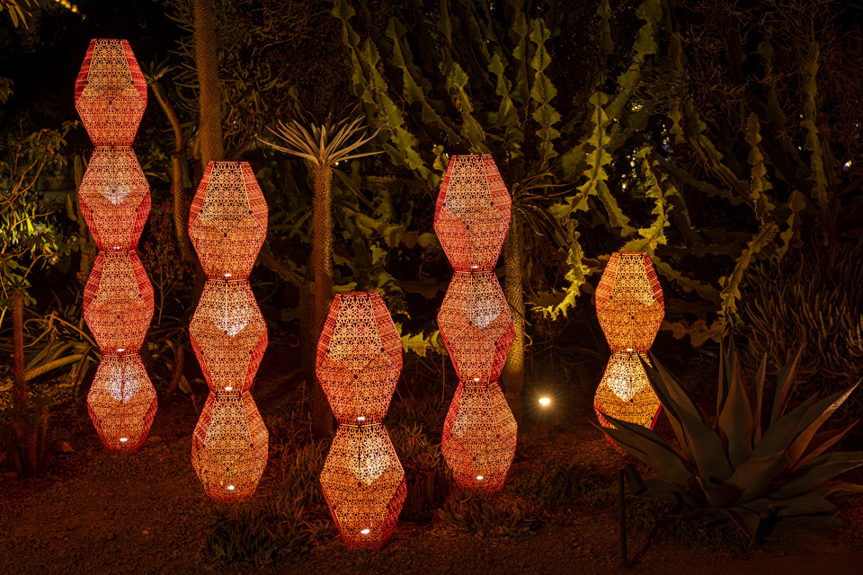 Cactus Light