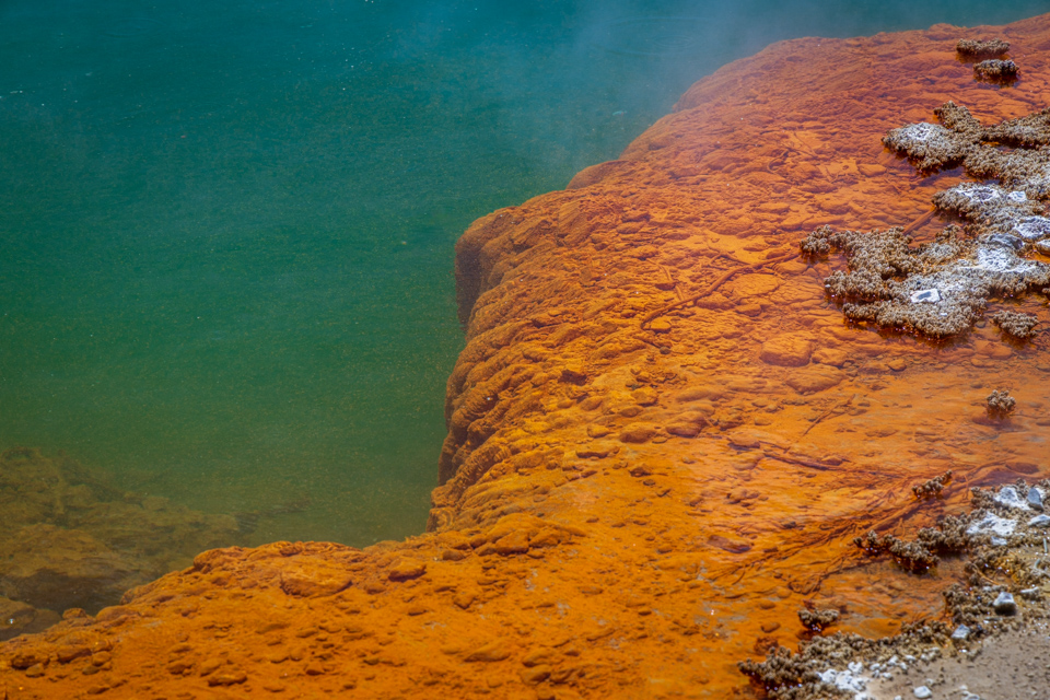 Champagne Pool