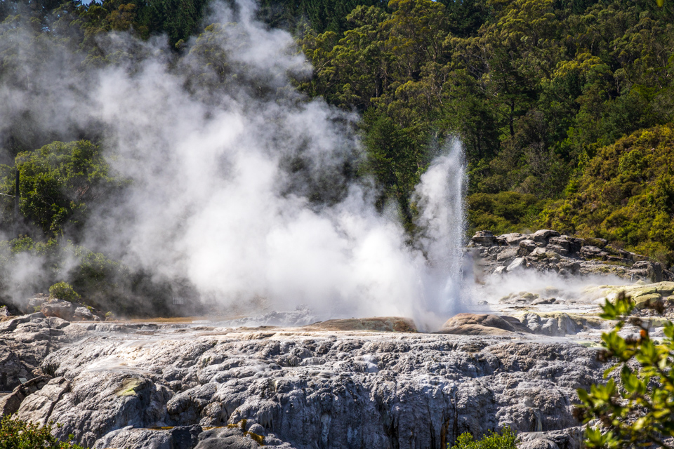 Pohutu Geyser