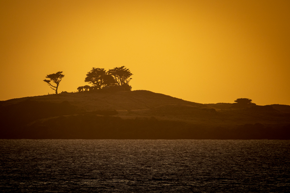 Not African Sunrise