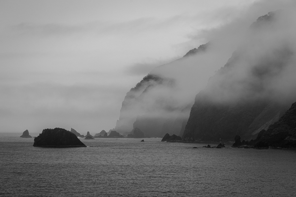 Foggy Shore