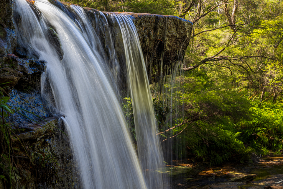 Jamison Creek
