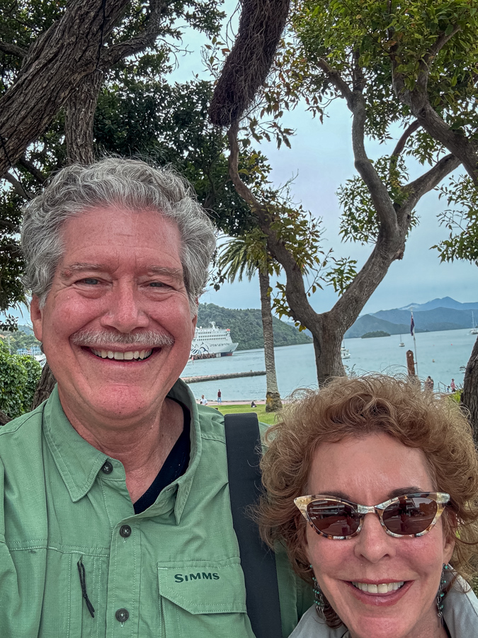 Picton Selfi