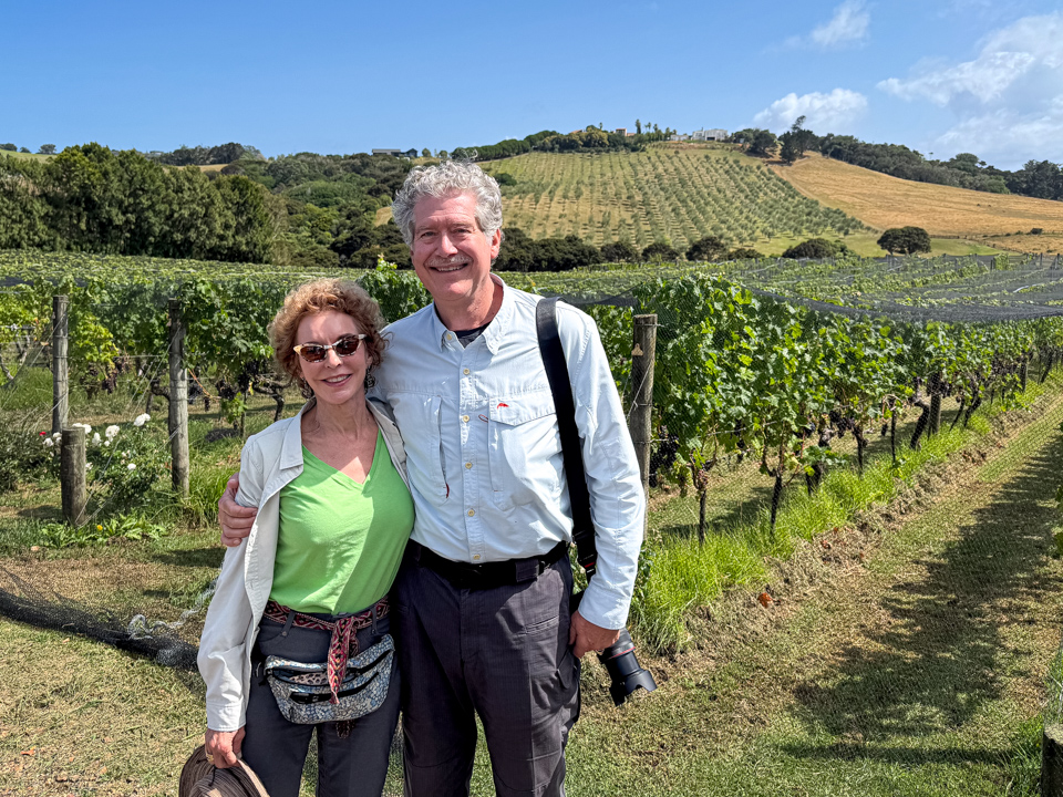 With the Vines
