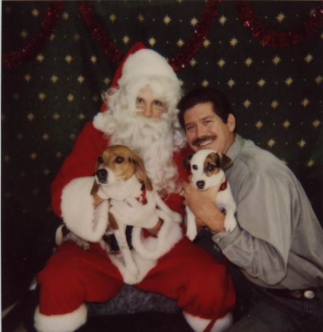 The Pups and Santa