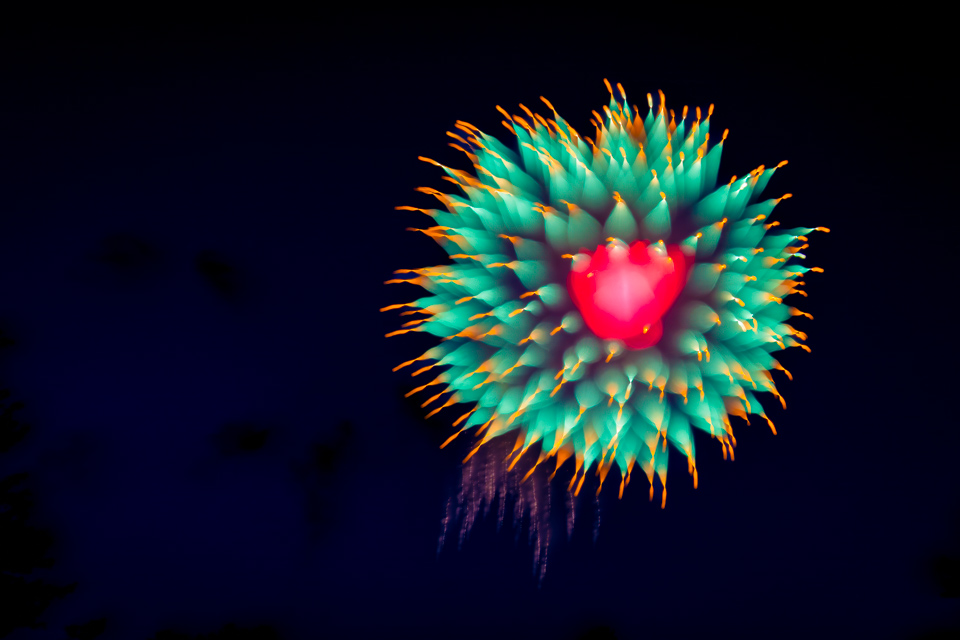 Heart