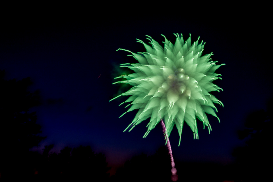 Green Flower