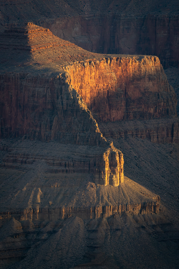 Golden Light