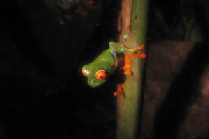 Costa Rica 2005