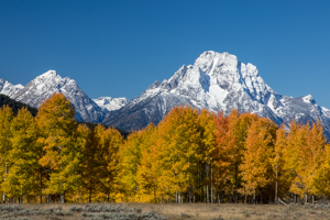 Wyoming 2019